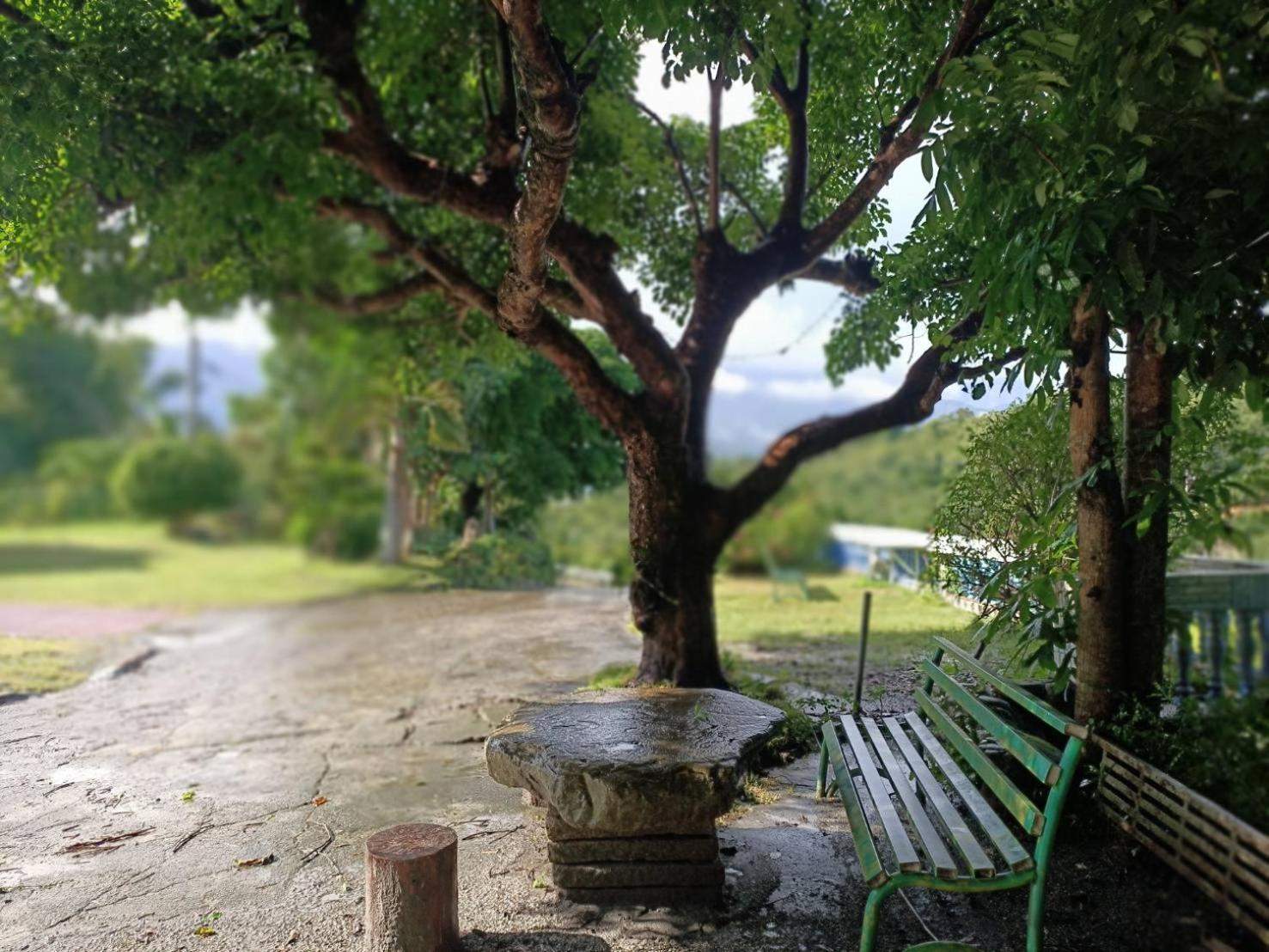 十畝田山莊會館 Hotell Chishang Eksteriør bilde